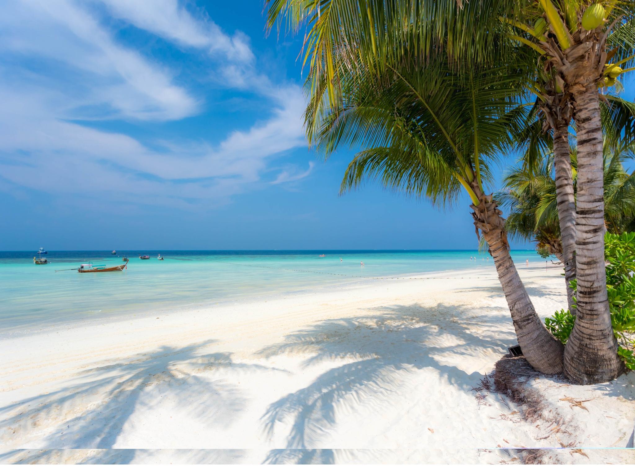 Khu vực xung quanh