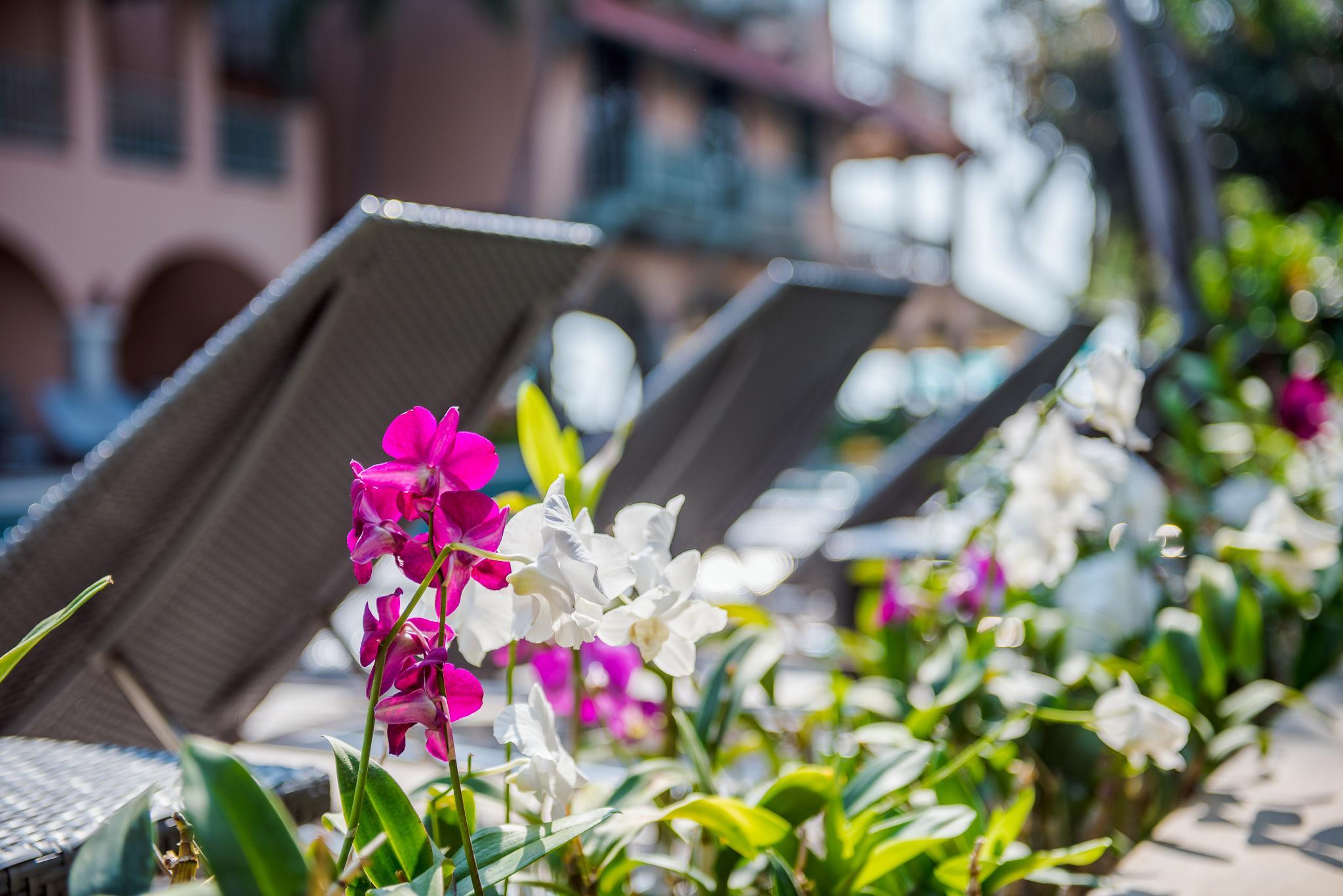 Khu vực xung quanh