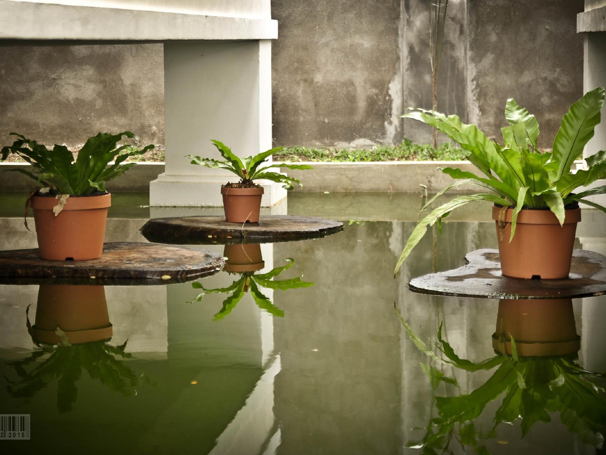 Khu vực xung quanh