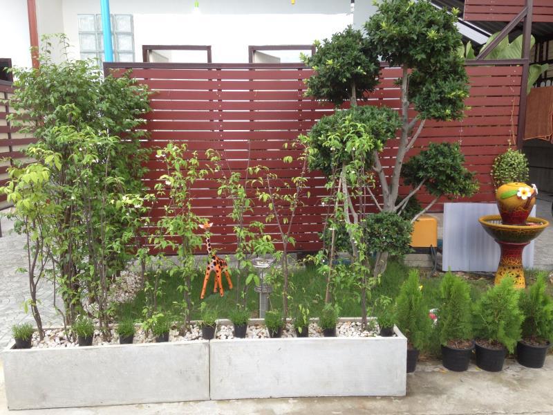 Khu vực xung quanh