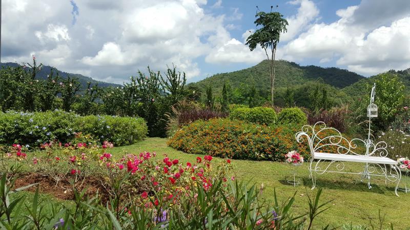 Khu vực xung quanh