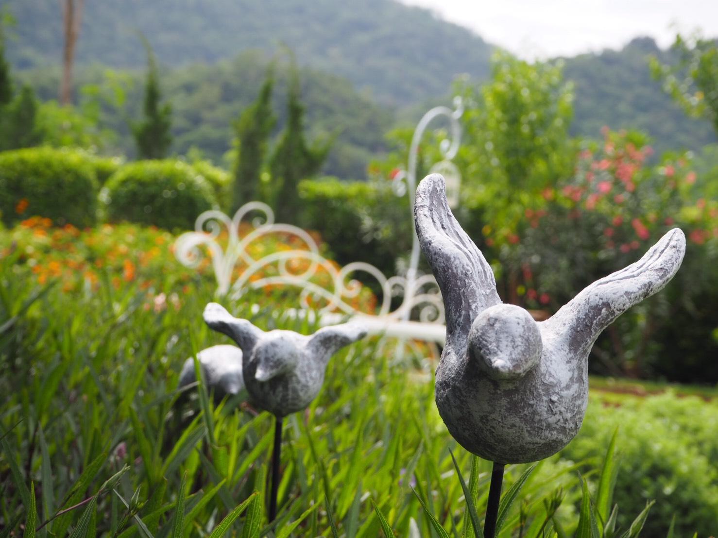 Khu vực xung quanh