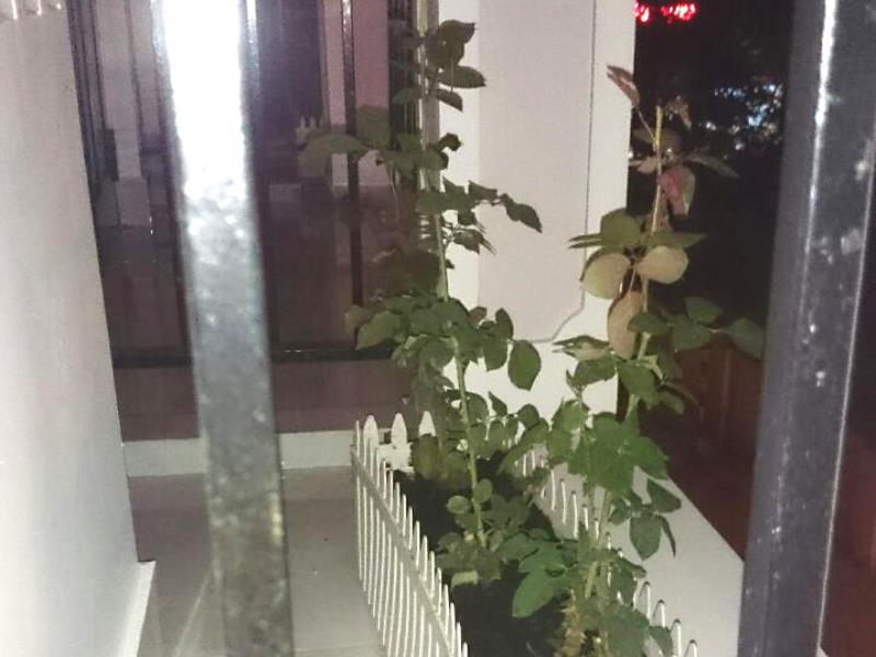 Ban công/sân hiên