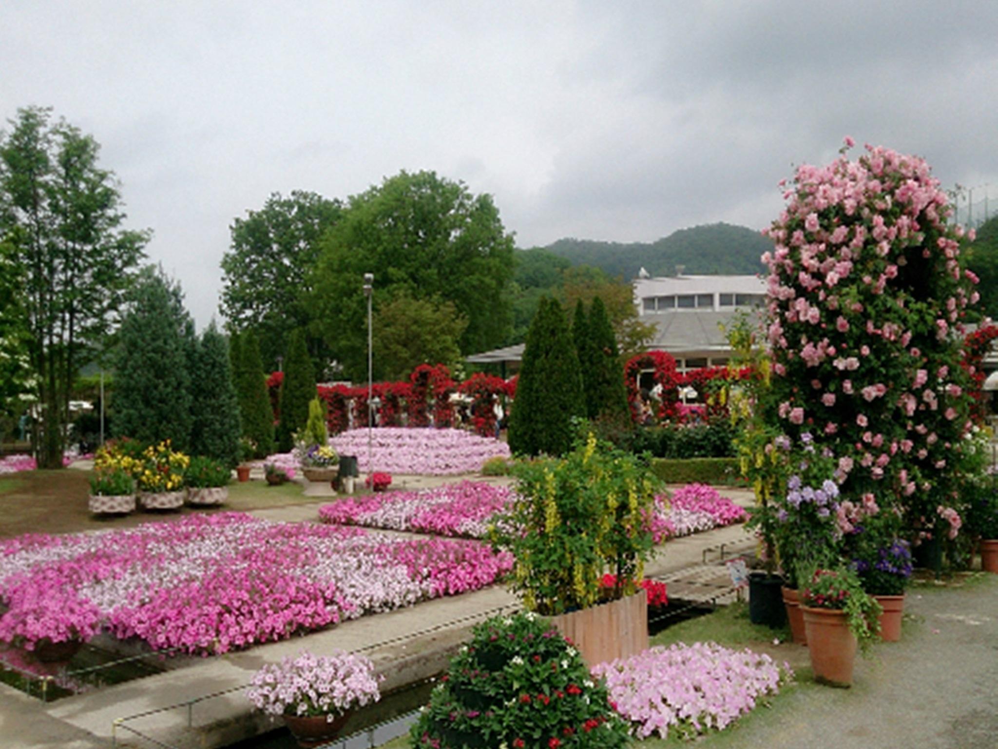 Nơi tham quan gần đây