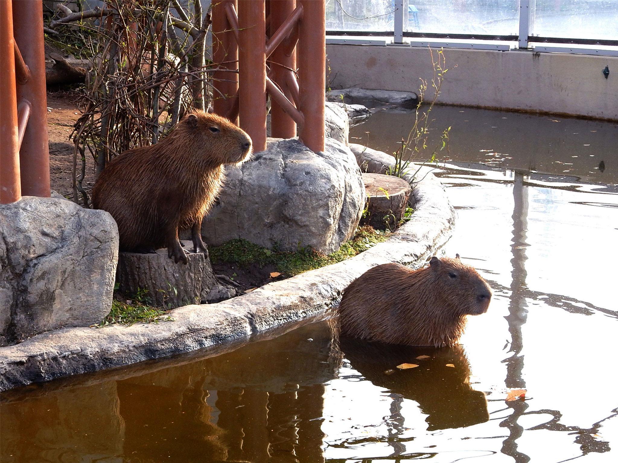 Nơi tham quan gần đây