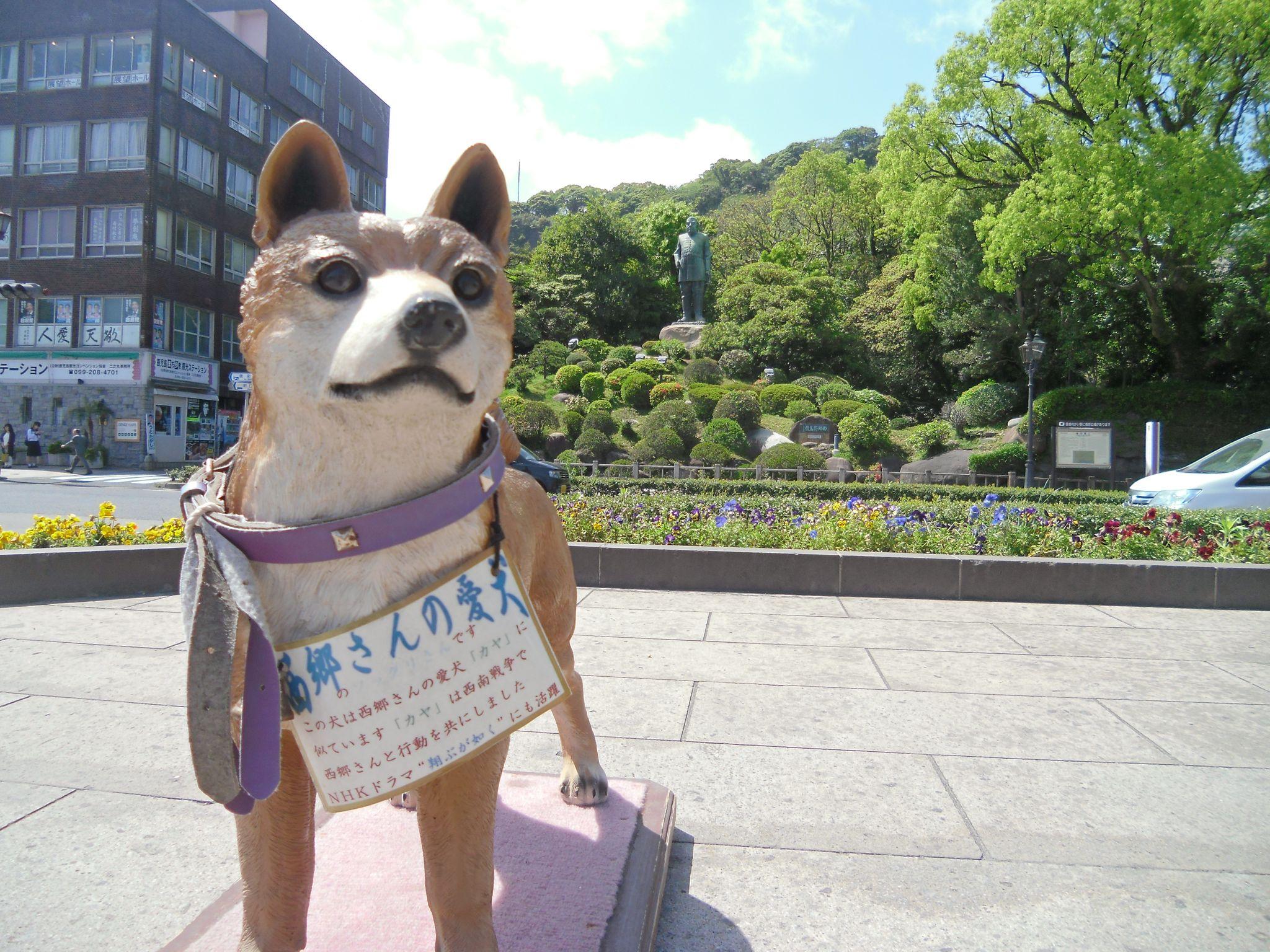 Khu vực xung quanh