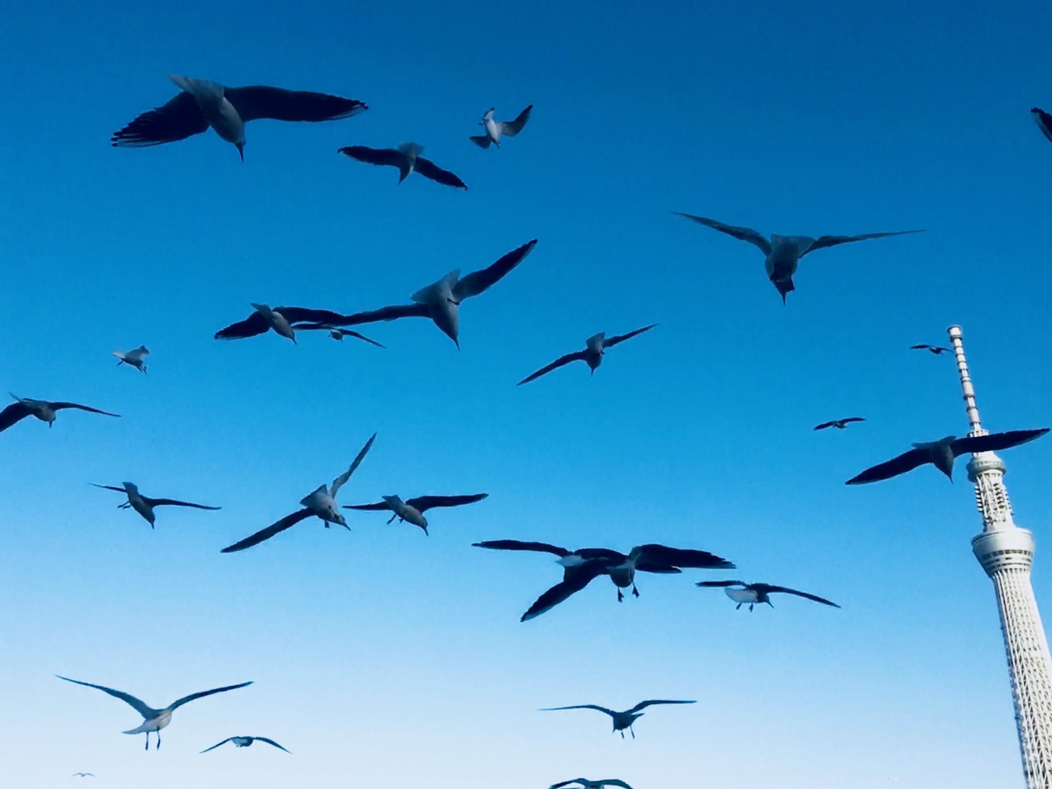 Nơi tham quan gần đây