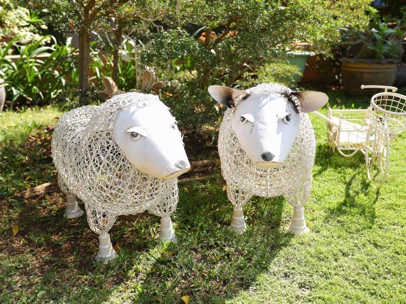 Khu vực xung quanh