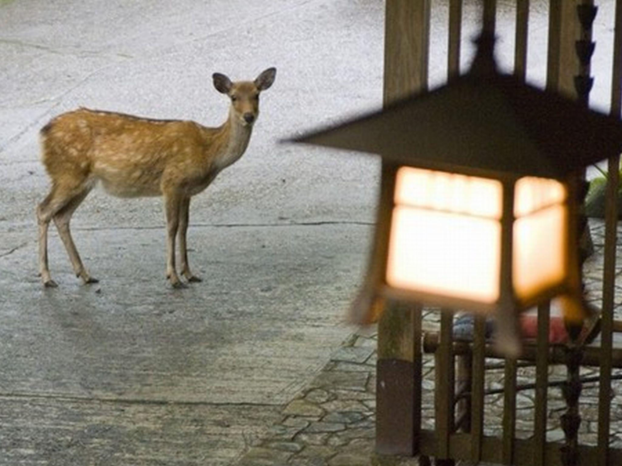 Khu vực xung quanh