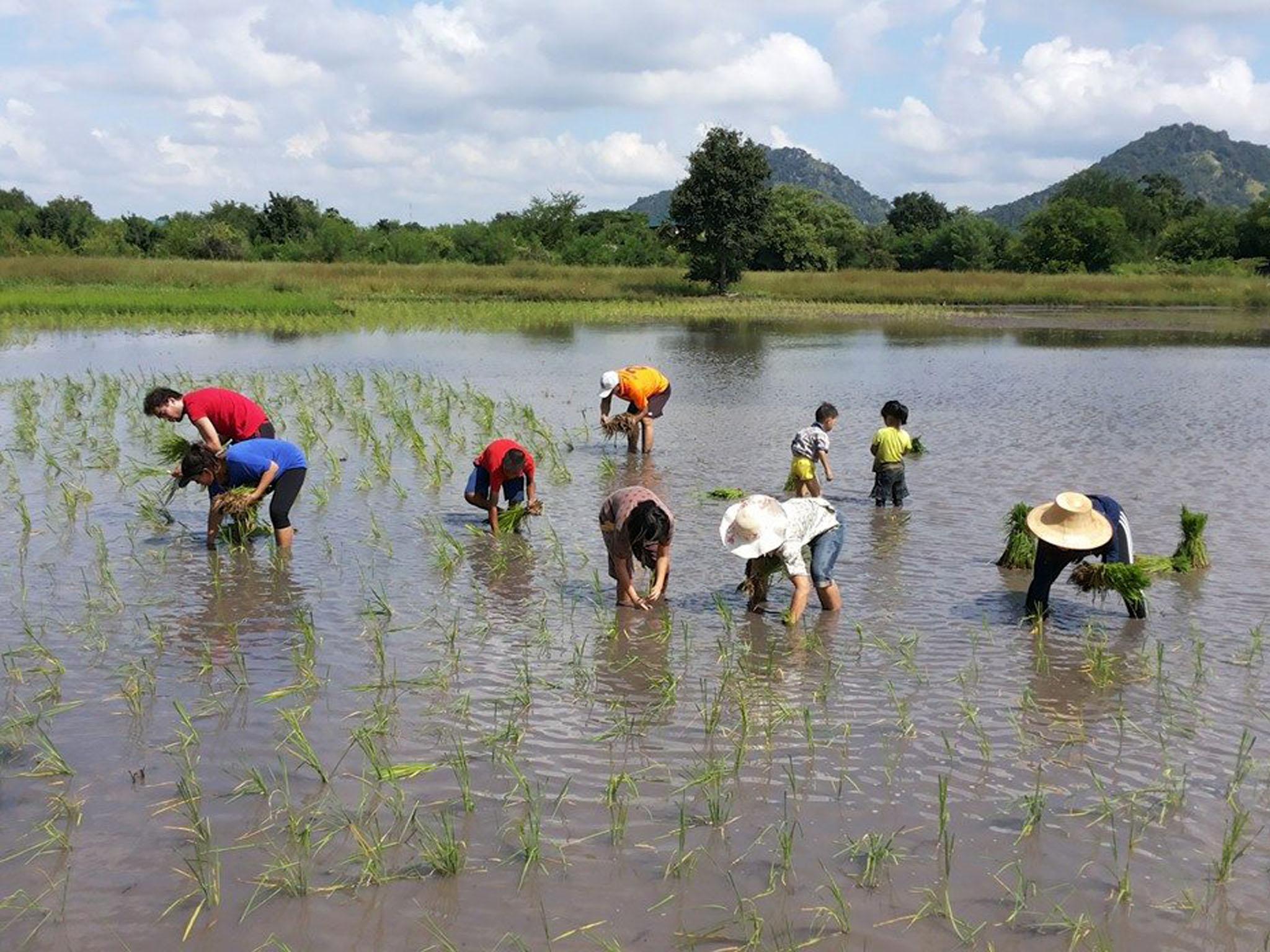 Thể thao và hoạt động