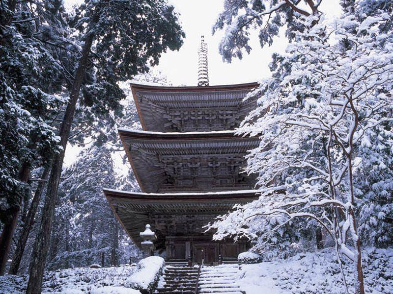 Nơi tham quan gần đây