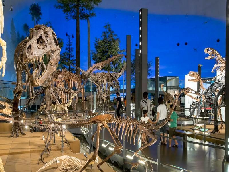 Nơi tham quan gần đây