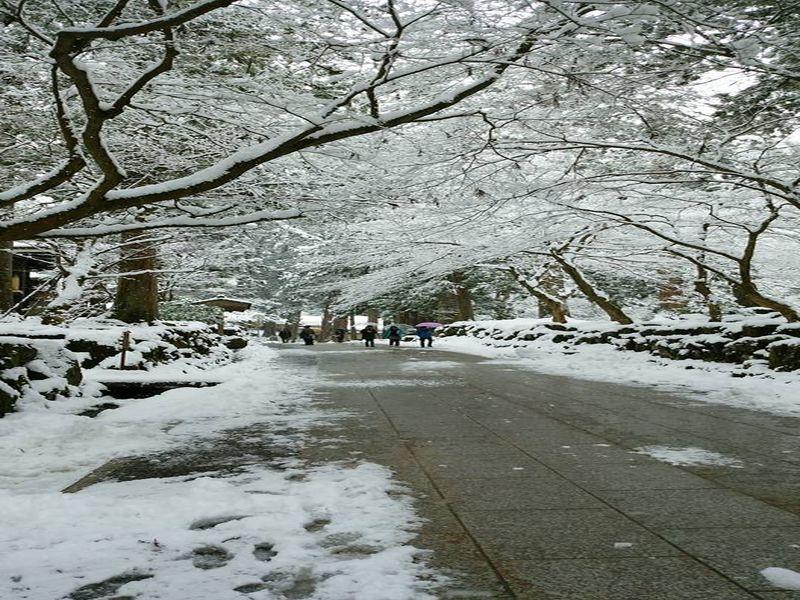 Khu vực xung quanh