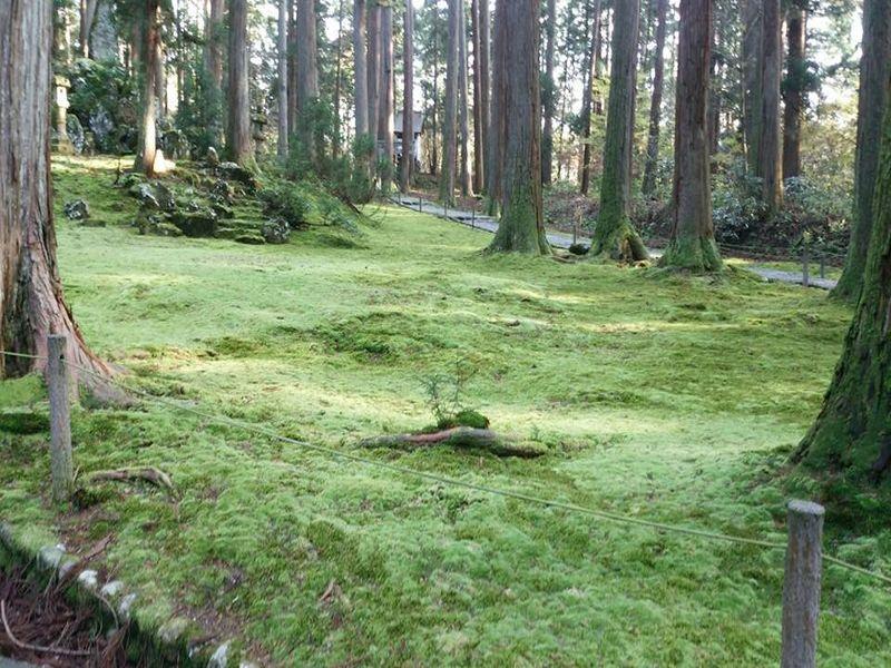 Khu vực xung quanh