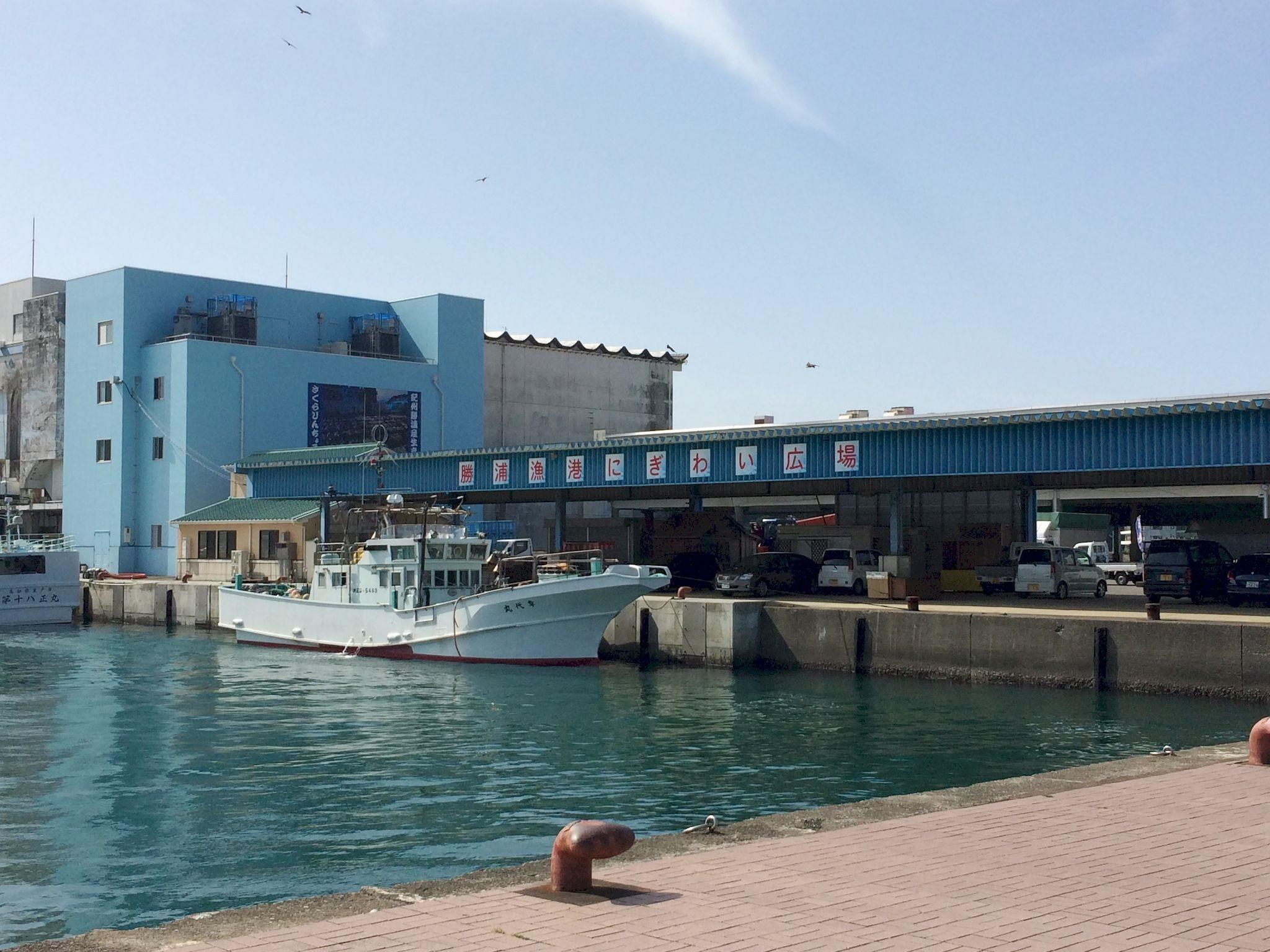 Khu vực xung quanh