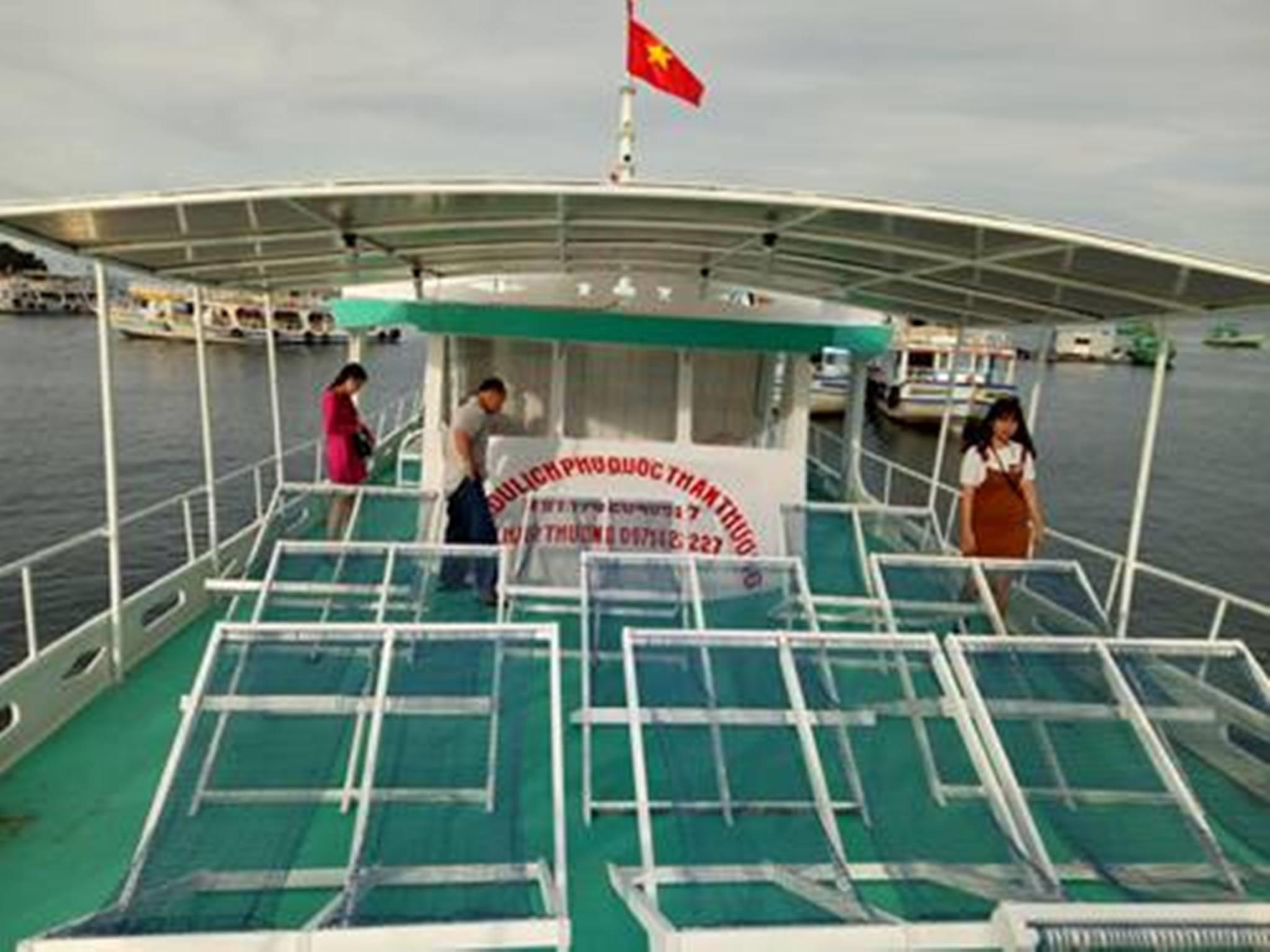 Thể thao và hoạt động