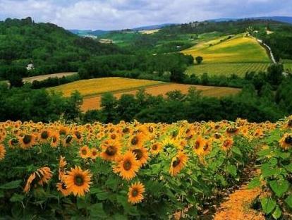 Khu vực xung quanh