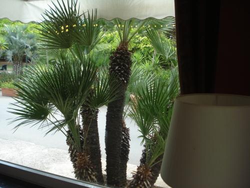 Ngoại cảnh khách sạn