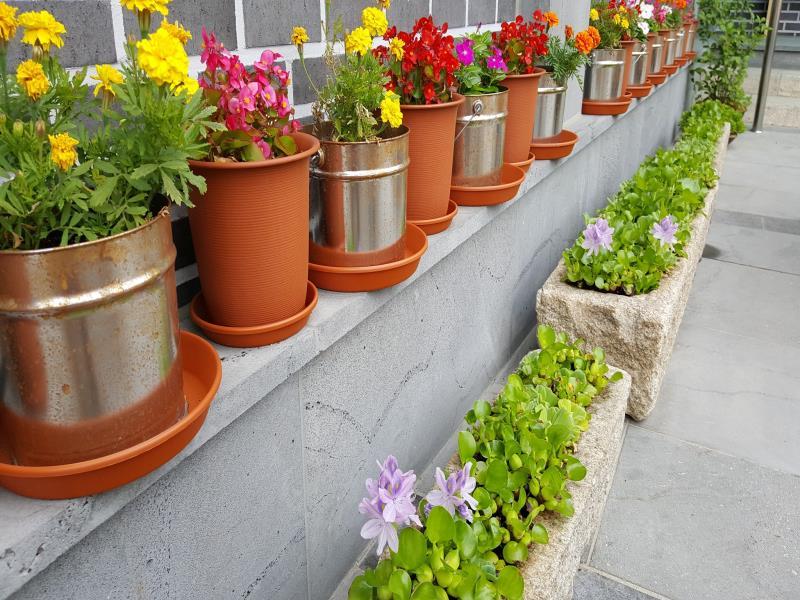 Ngoại cảnh khách sạn