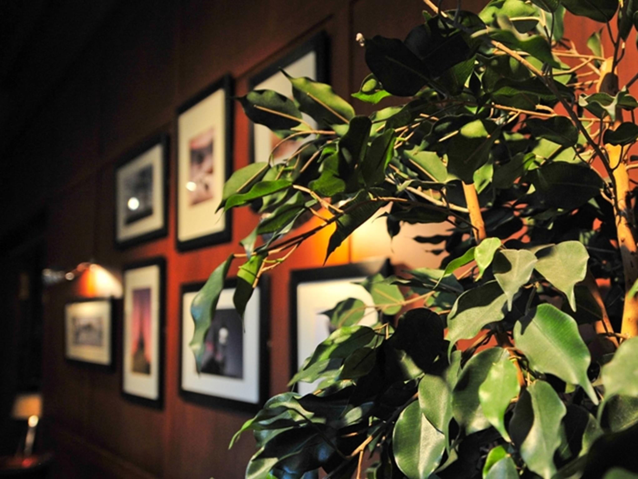 Nội thất khách sạn