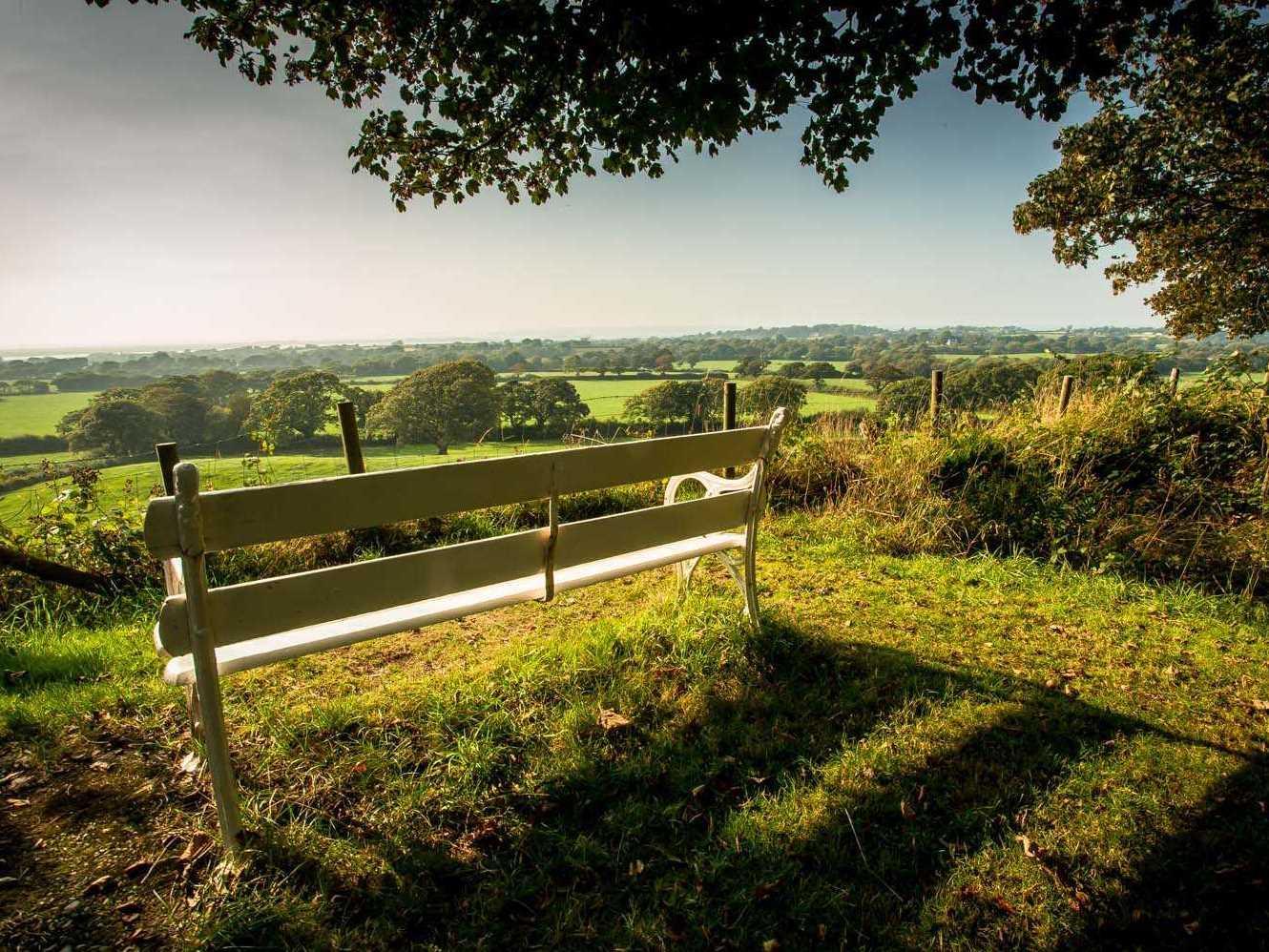 Khu vực xung quanh