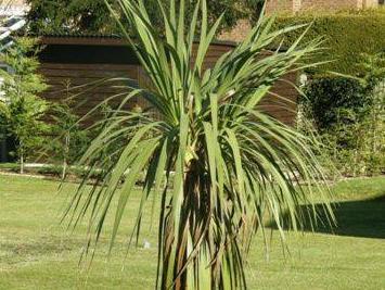 Khu vực xung quanh