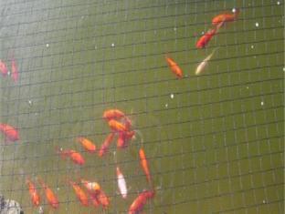 Khu vực xung quanh