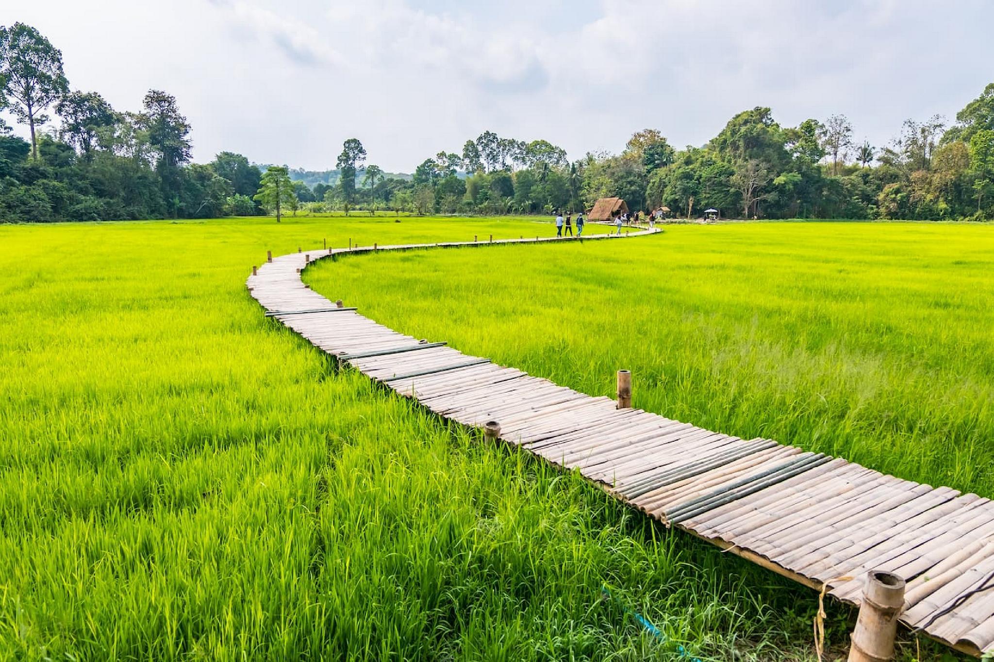 Nơi tham quan gần đây