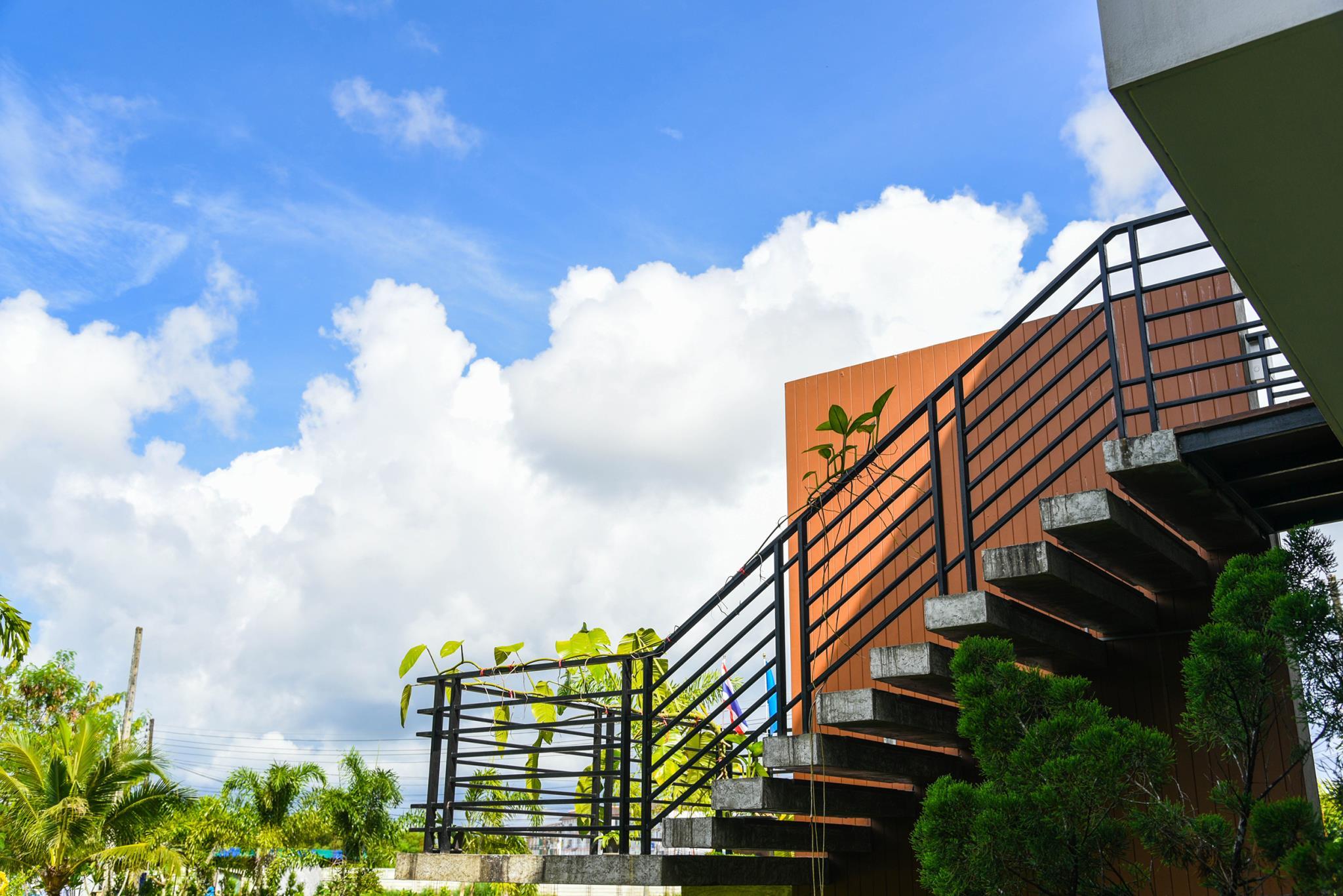 Khu vực xung quanh