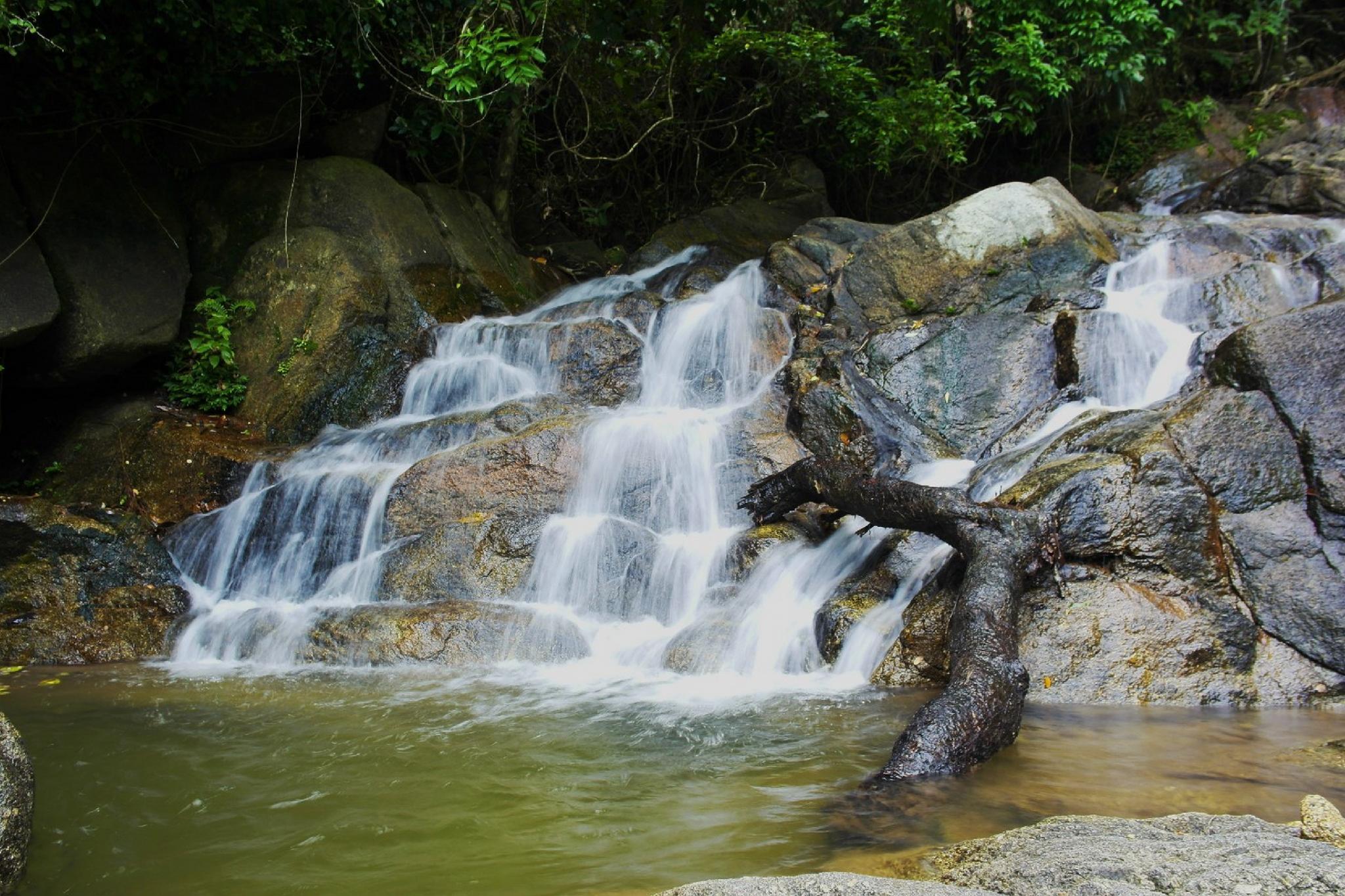 Nơi tham quan gần đây