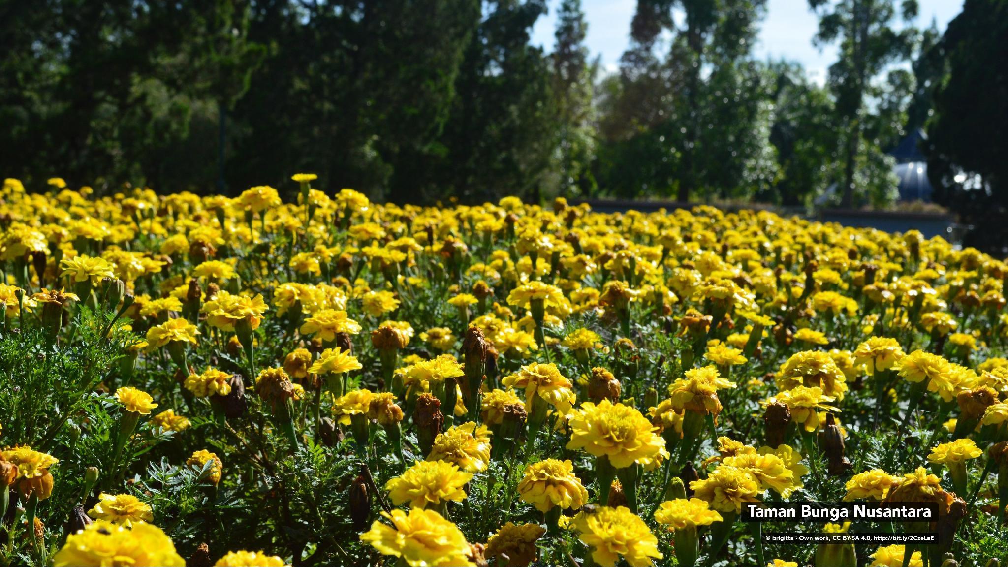 Nơi tham quan gần đây
