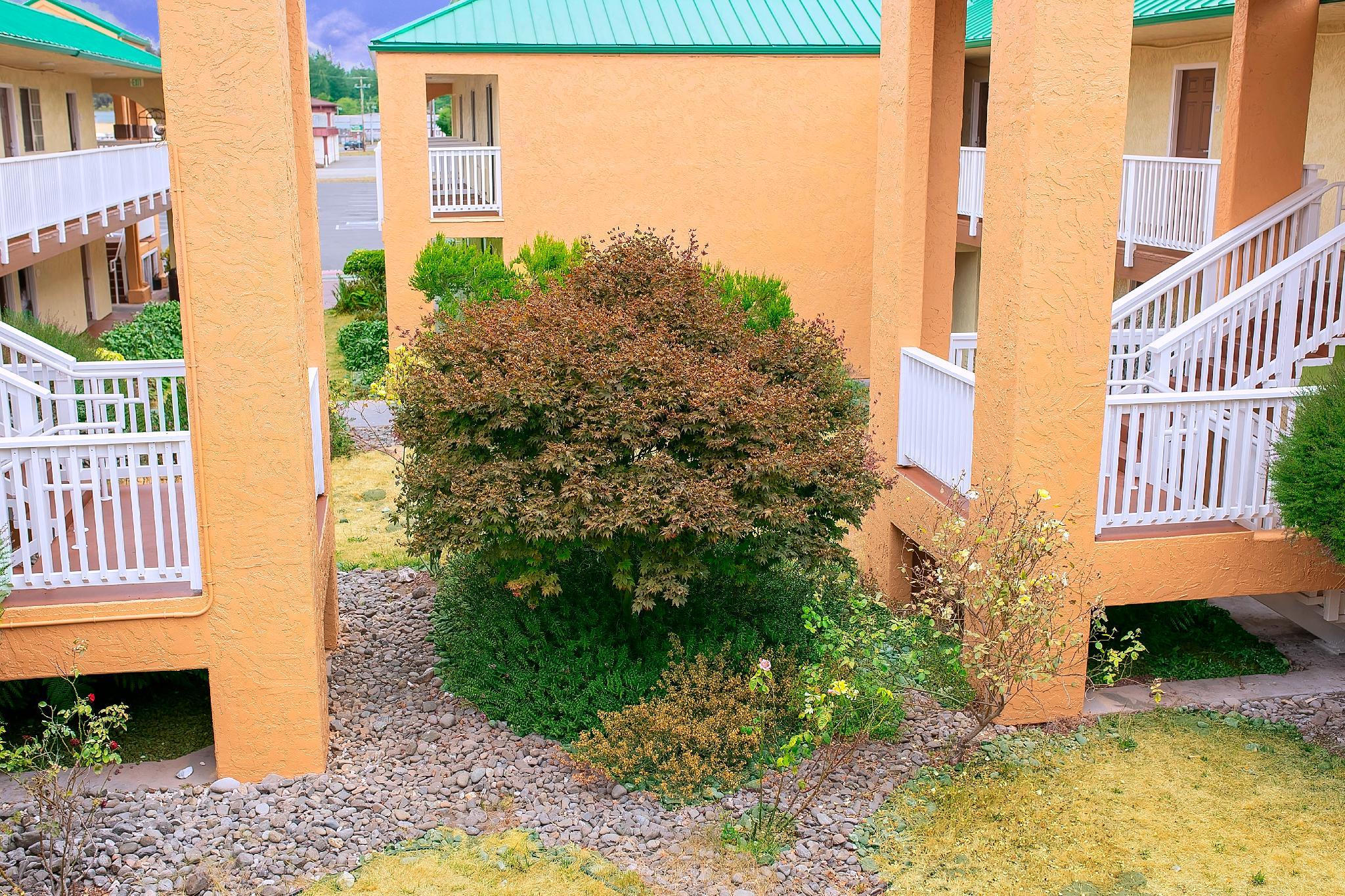 Ngoại cảnh khách sạn