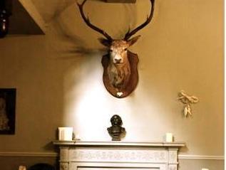 Nội thất khách sạn