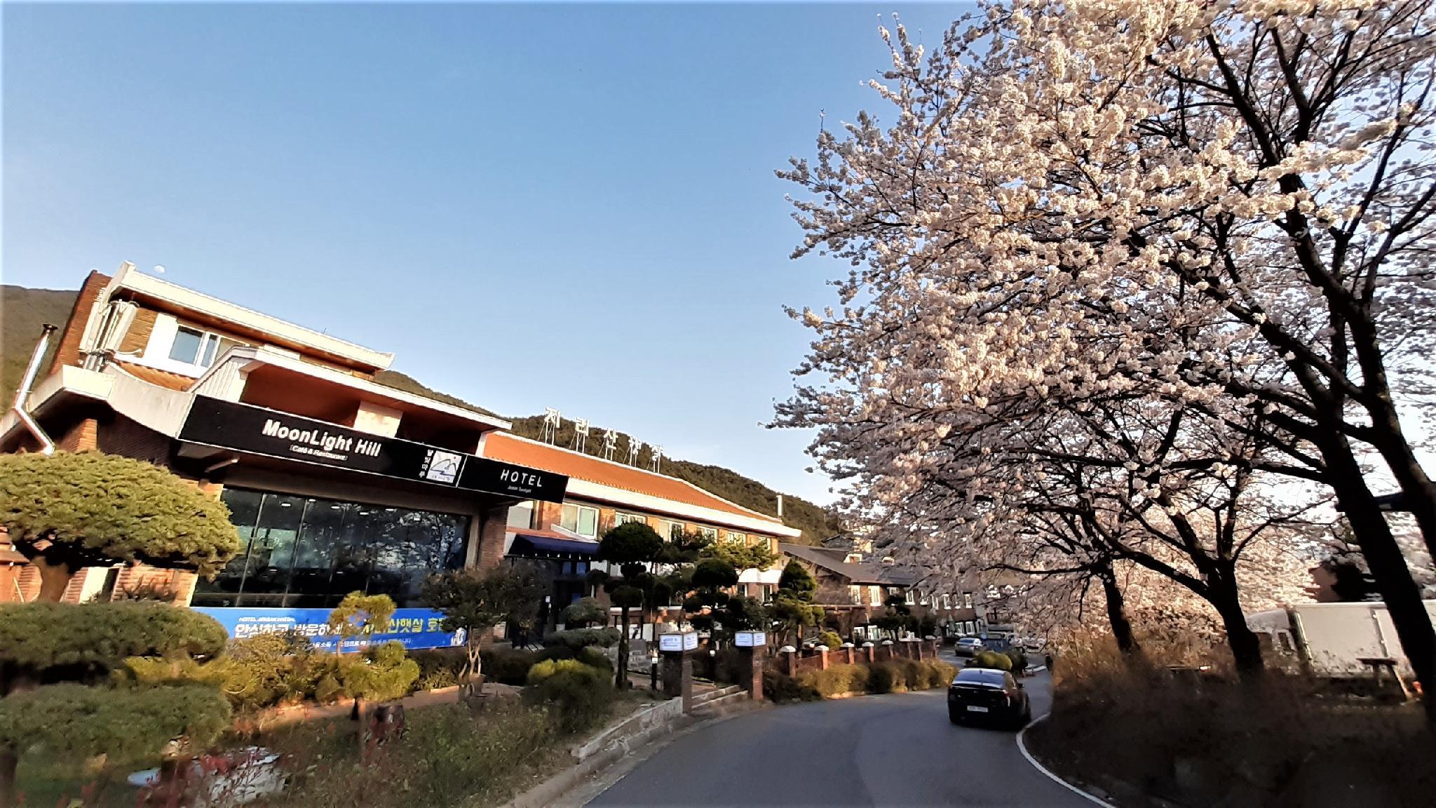 Ngoại cảnh khách sạn