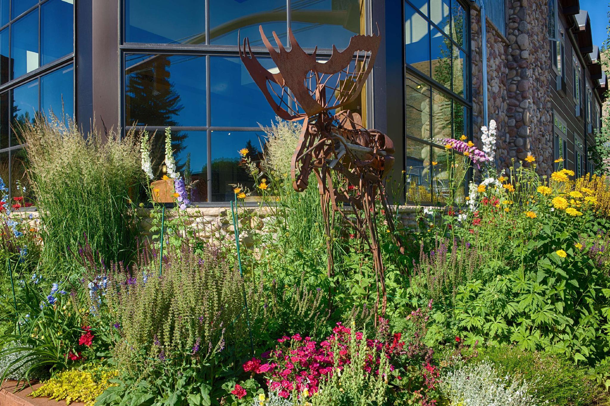 Khu vực xung quanh