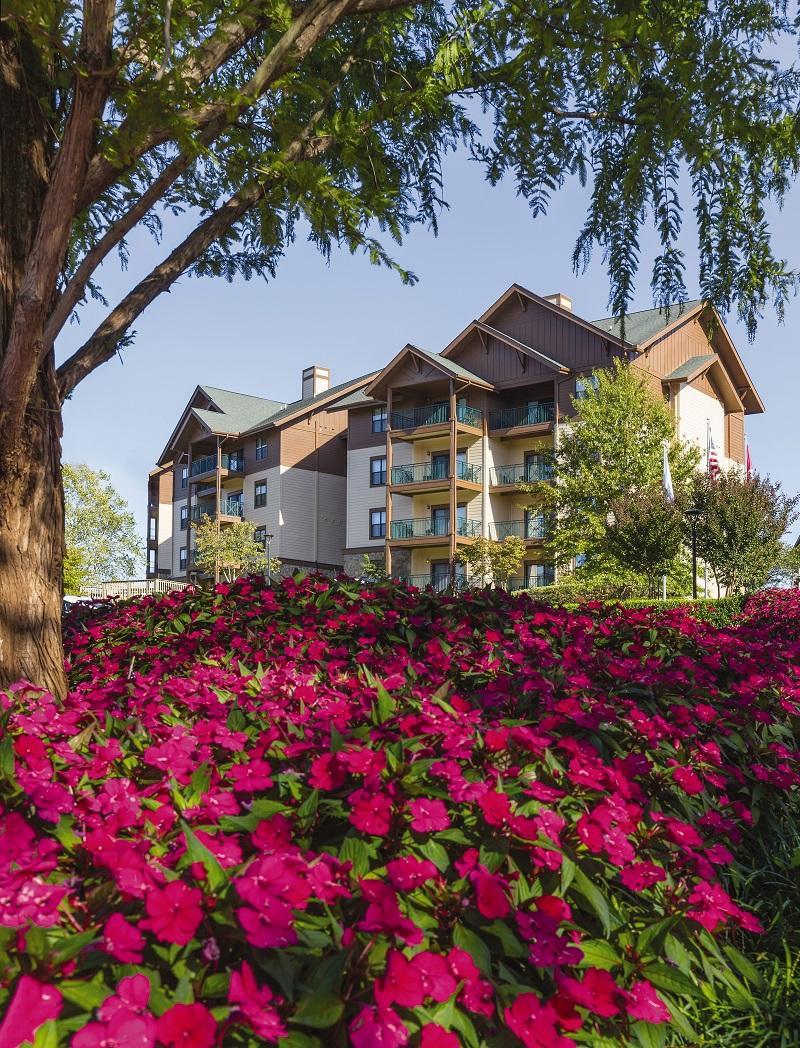 Khu vực xung quanh