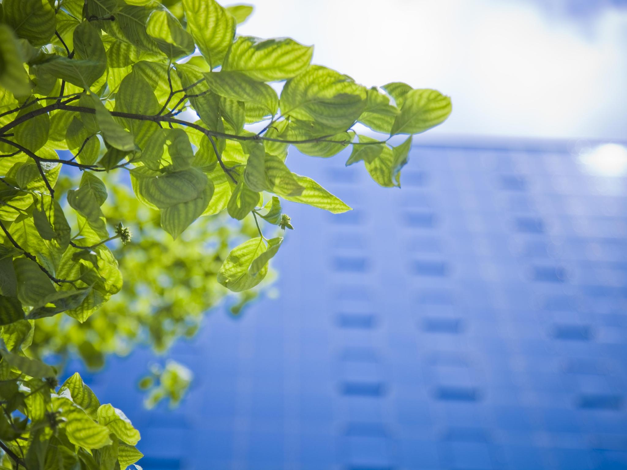 Ngoại cảnh khách sạn