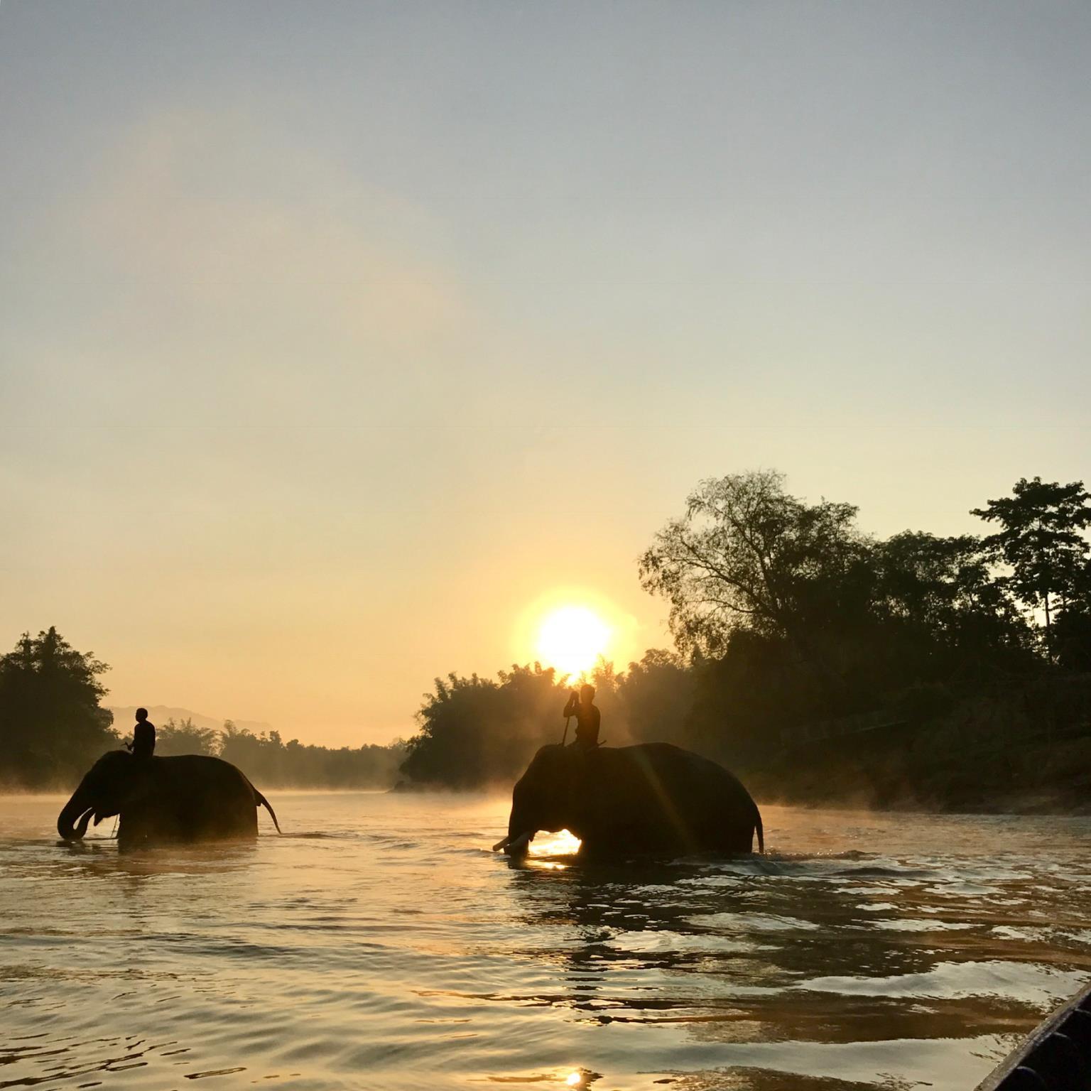 Khu vực xung quanh
