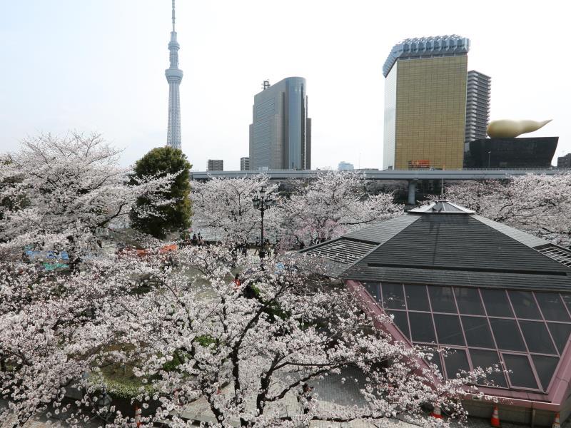 Nơi tham quan gần đây