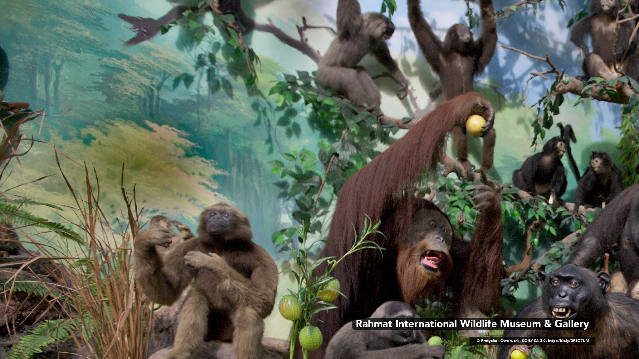 Nơi tham quan gần đây