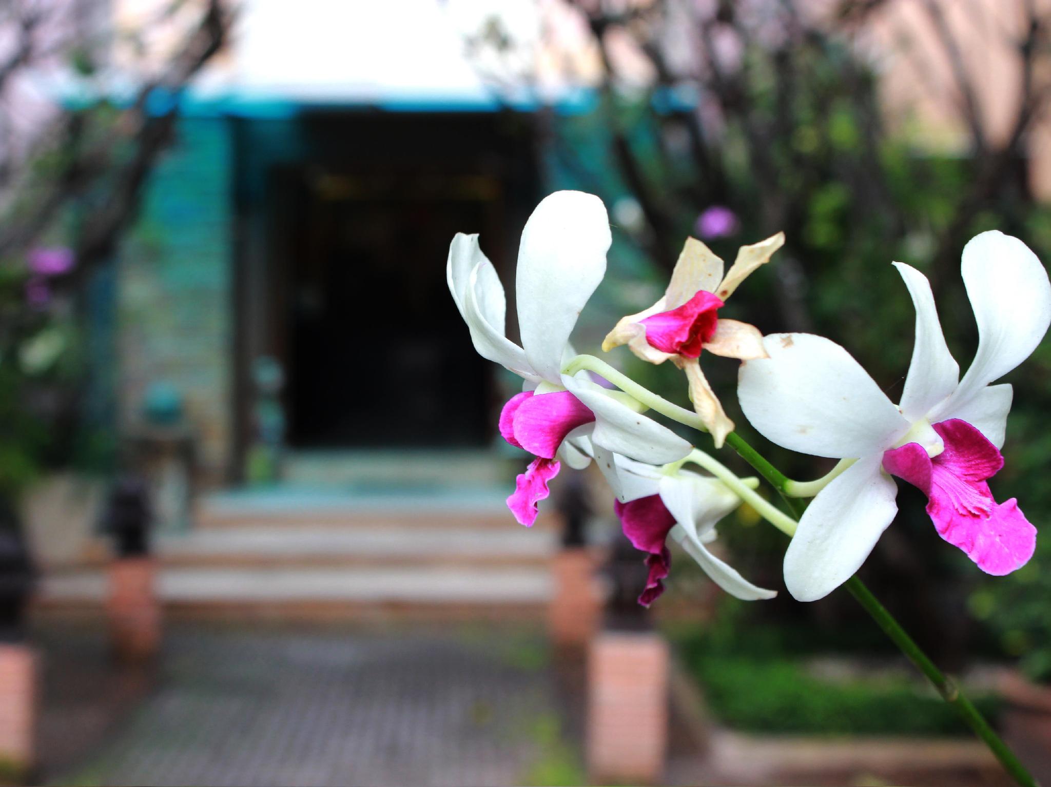 Nội thất khách sạn