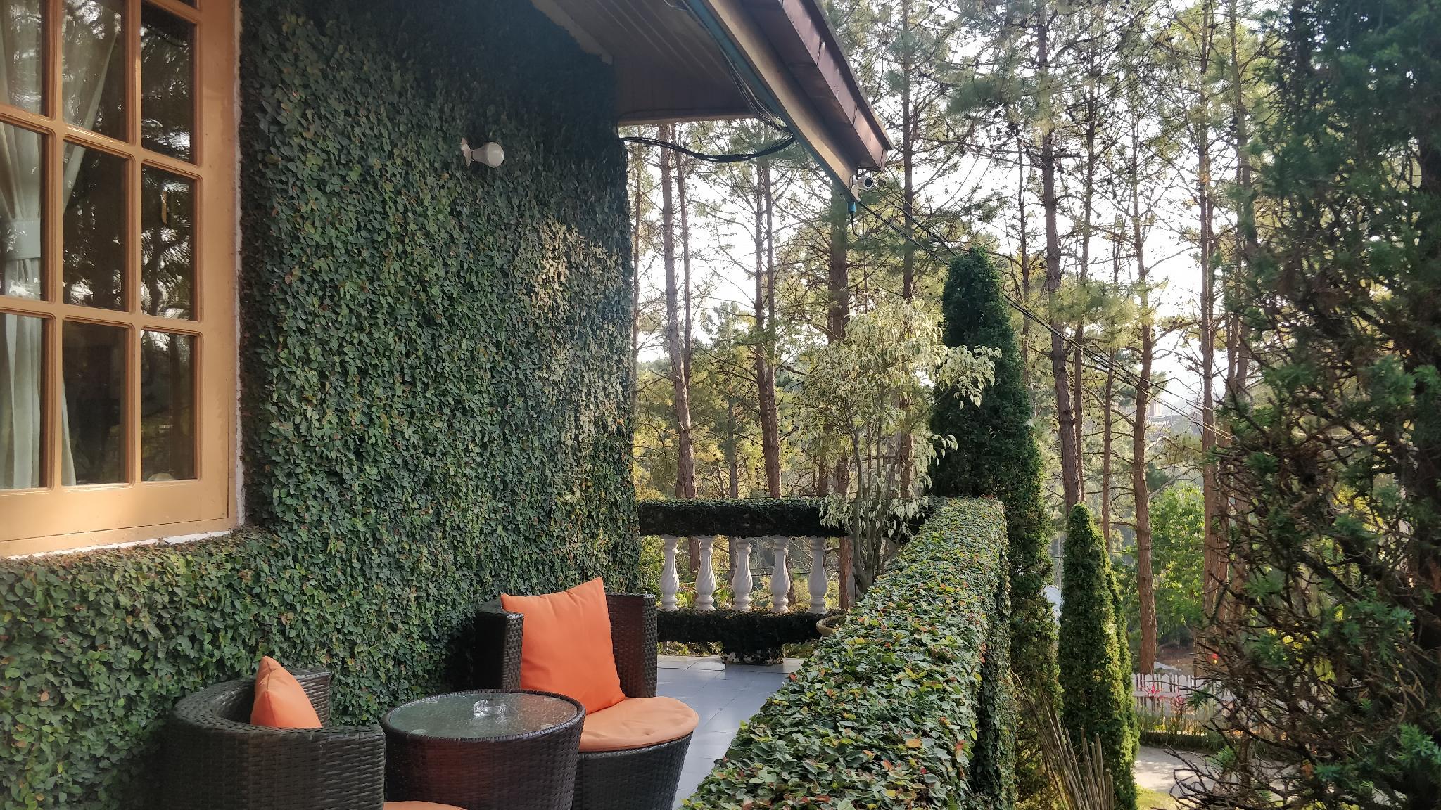 Khu vực xung quanh