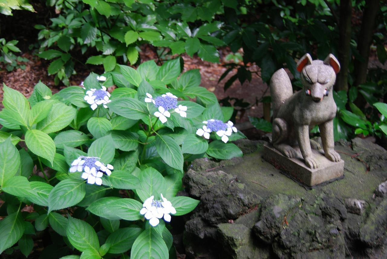 Khu vực xung quanh