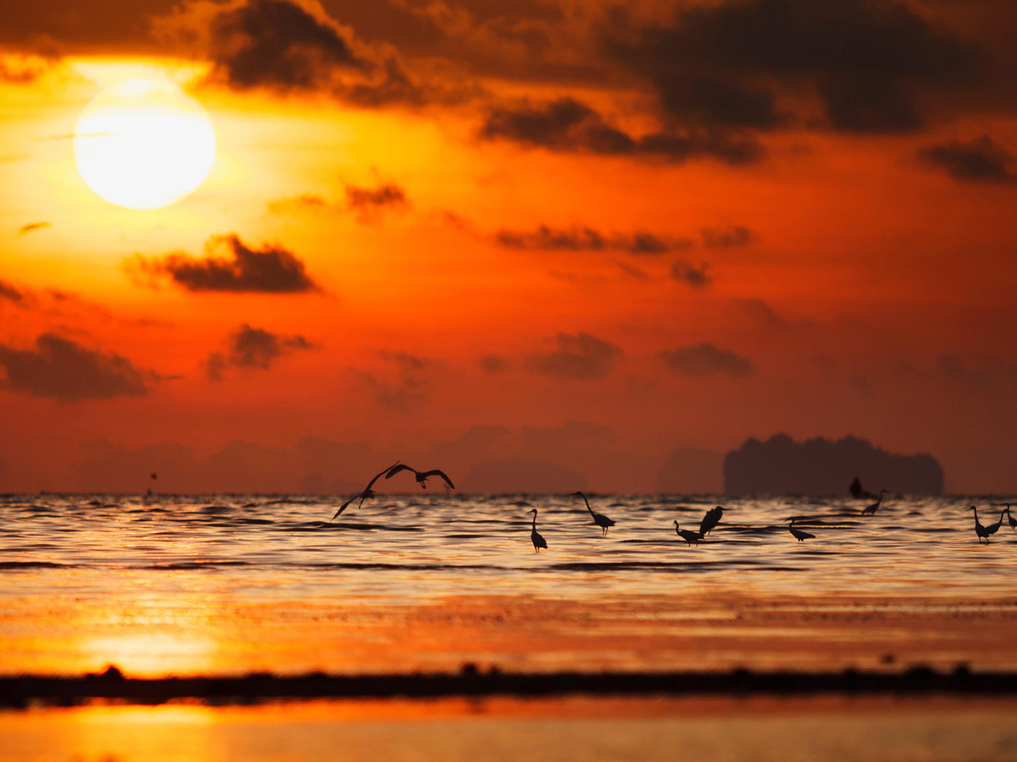 Nơi tham quan gần đây