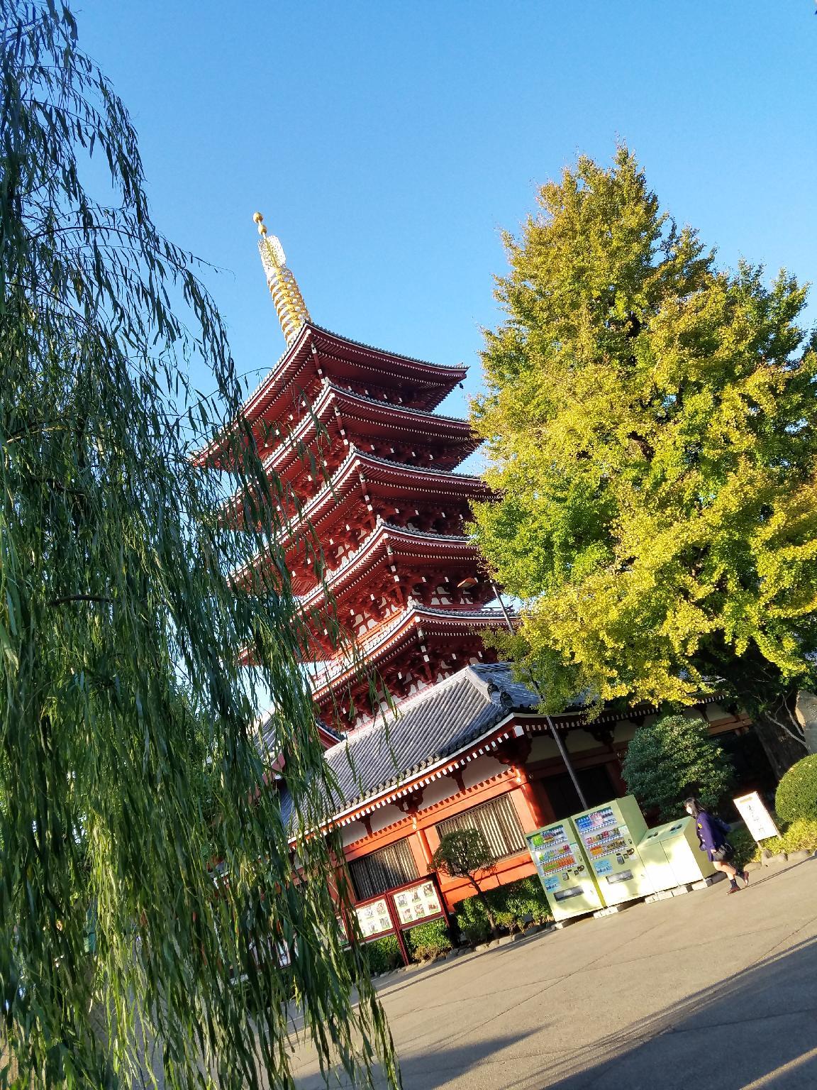 Nơi tham quan gần đây