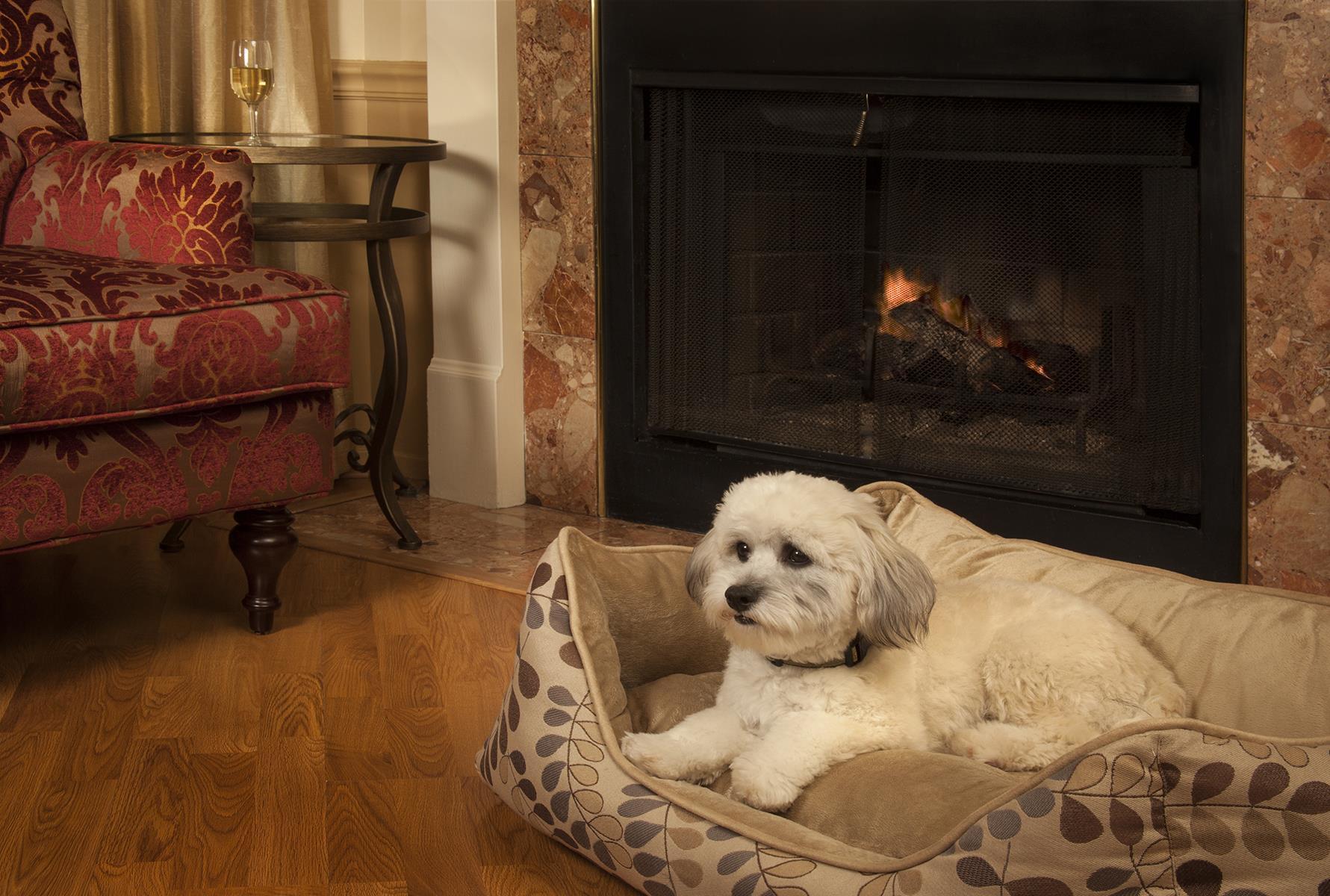 Nội thất khách sạn