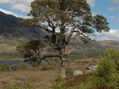 Khu vực xung quanh