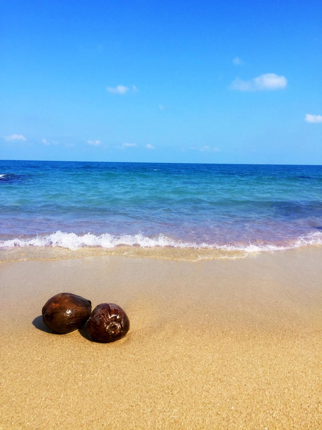 Khu vực xung quanh