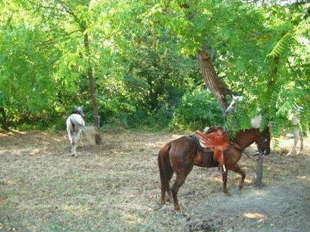 Tiện nghi giải trí