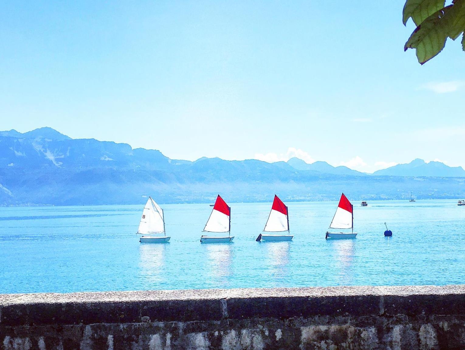 Thể thao và hoạt động